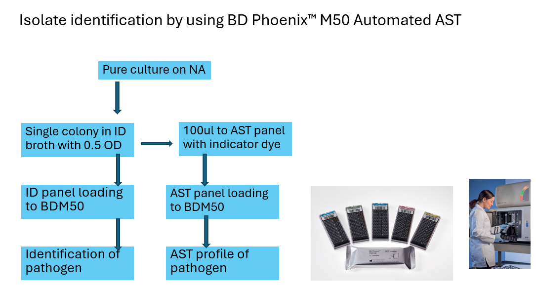 Slide 6
